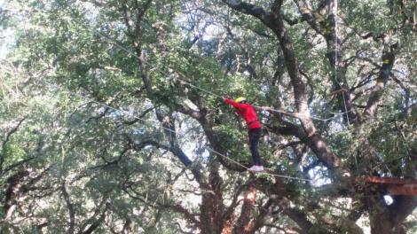 parque aventura navarra niños tirolinas