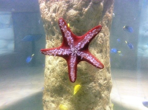 Marina Izquierdo Malta con niños 