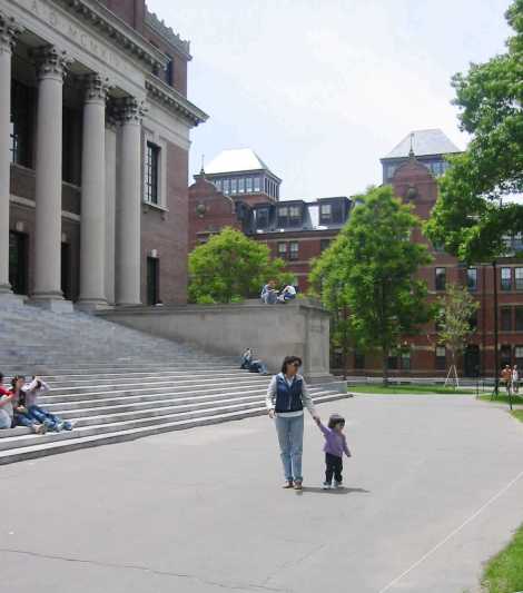 Harvard 